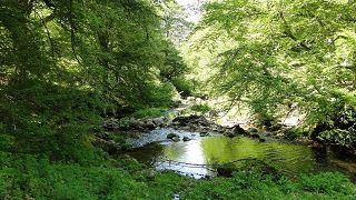 Asturien Foto 15