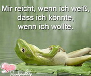 Spruch 20004
