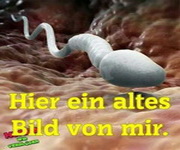 Spruch 20026