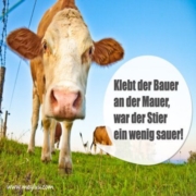 Spruch 60009