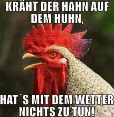 Spruch 60027